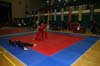 VI CAMPEONATO MUNDIAL DE HAPKIDO