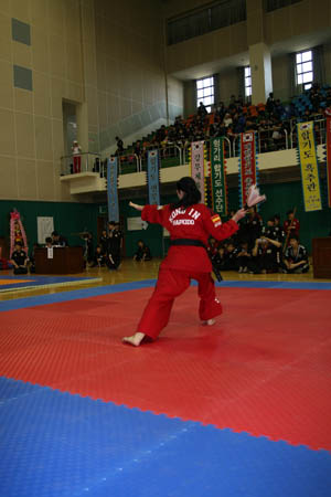 VI CAMPEONATO MUNDIAL DE HAPKIDO