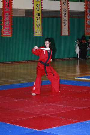 VI CAMPEONATO MUNDIAL DE HAPKIDO