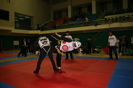 VI CAMPEONATO MUNDIAL DE HAPKIDO