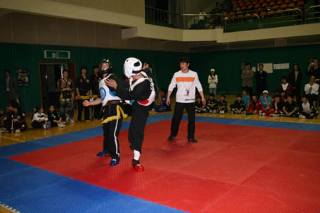 VI CAMPEONATO MUNDIAL DE HAPKIDO