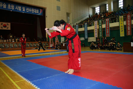 VI CAMPEONATO MUNDIAL DE HAPKIDO