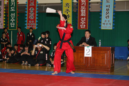 VI CAMPEONATO MUNDIAL DE HAPKIDO