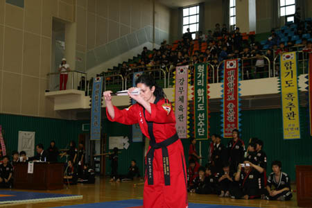 VI CAMPEONATO MUNDIAL DE HAPKIDO